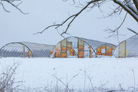 Greenhouses in the Snow