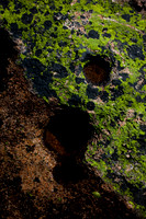 Lichen Granite Erosion