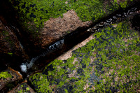 Lichen Granite Channels