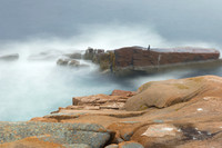 Surf, Fog and Egret