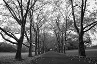 Lane #1