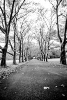 Lane #2