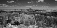 View from the Tower