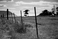 Fence and Field