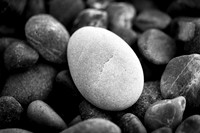Beach Rocks