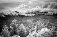 Peaks Near Whistler