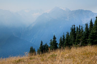 Hurricane Ridge View