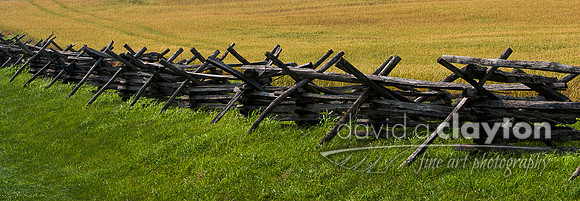 Fence Over Sunken Road