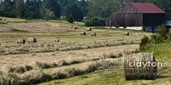 Roulette Farm