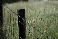 Fence Near Sherrick Farm
