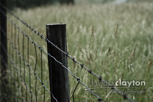 Fence Near Sherrick Farm