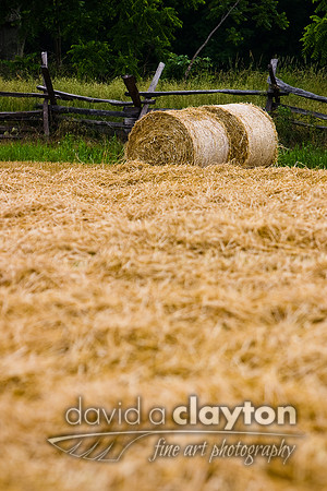 Near the Otto Farm