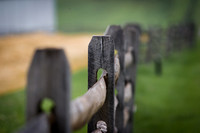 Fence Near The Cornfield
