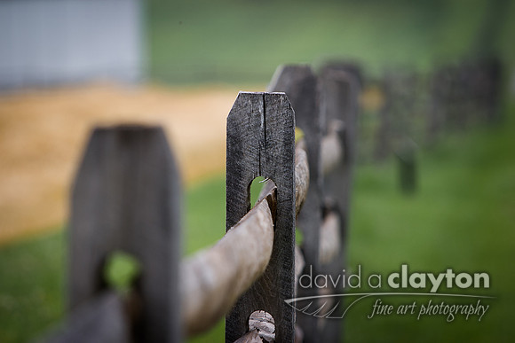 Fence Near The Cornfield