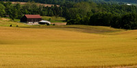 Rolulette Farm from The Observation Tower