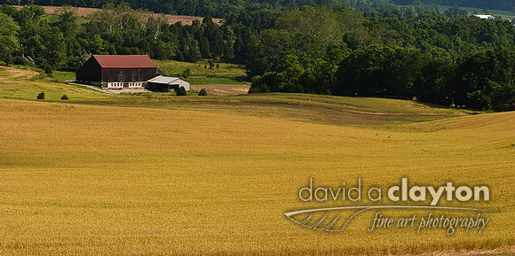 Rolulette Farm from The Observation Tower