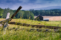 Roulette Farm #2