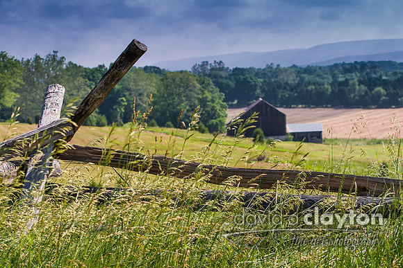 Roulette Farm #2