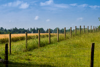 Fence Opposite Bloody Lane