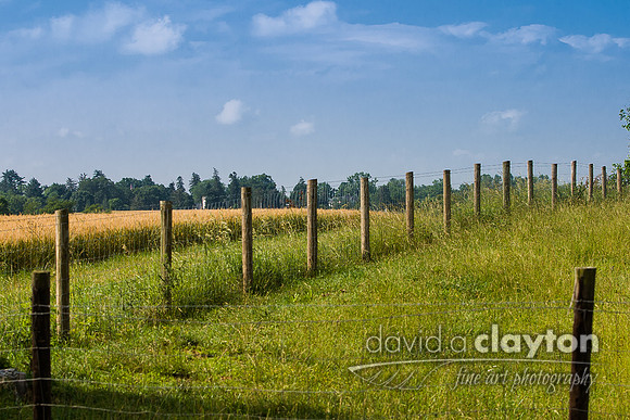 Fence Opposite Bloody Lane