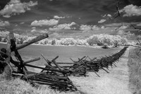 Split Rail Fence #2
