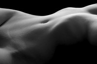 The Navel - For Starters