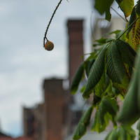 Fruit of Their Labors