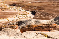 Petrified Forest #2