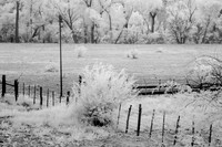 Perkinsville Fence #2