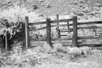 Perkinsville Fence #3