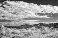 Verde Canyon Landscape #1