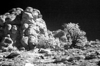 Rock and Scrub