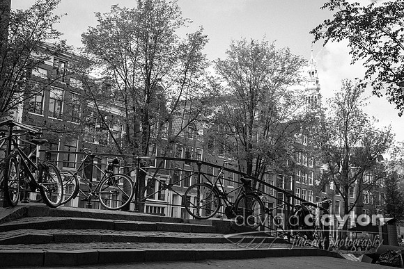 The Ubiquitous Bicycle