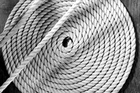 Coil