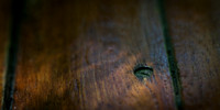 Varnished Deck and Screw