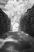 Ruins #5