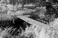Plank Bridge