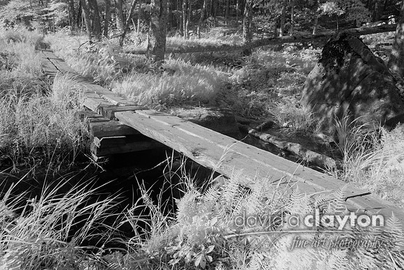 Plank Bridge