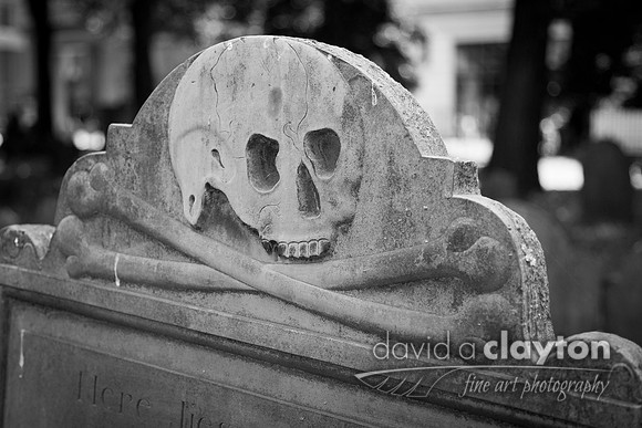 Skull and Cross Bones