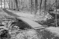 Acadia Trail