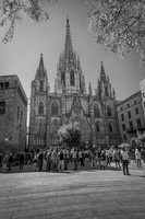 Cathedral of Barcelona