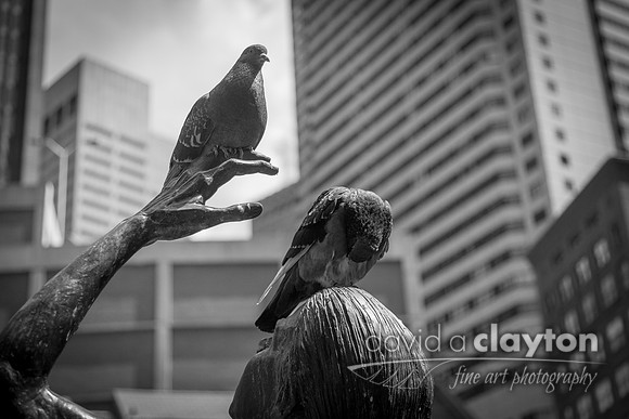 Pigeon Statue