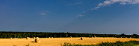 Hay Rolls on PEI