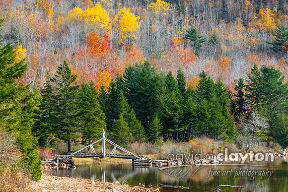 Autumn Bridge