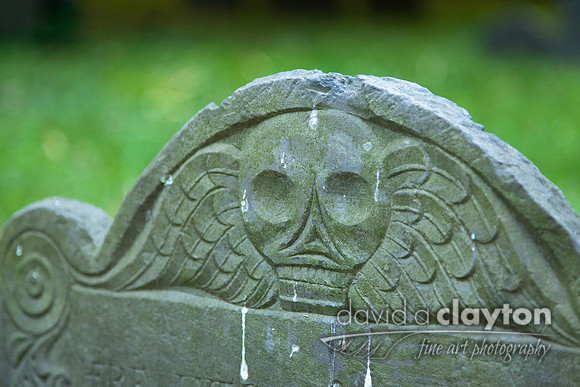 Skull and Wings