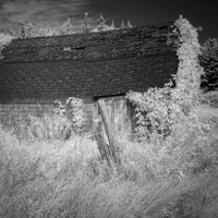 Decrepit Barn #12
