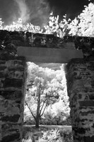 Ruins #4