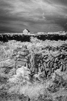 Farm with Rope