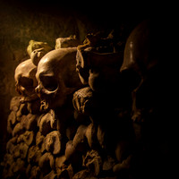 Study with Skulls and Femurs #1